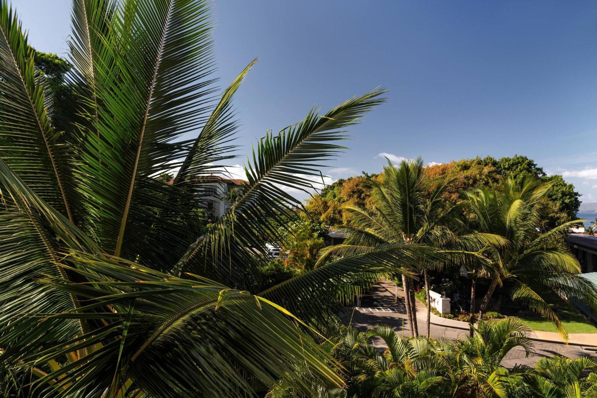 Wailea Beach Resort - Marriott, Maui Екстериор снимка